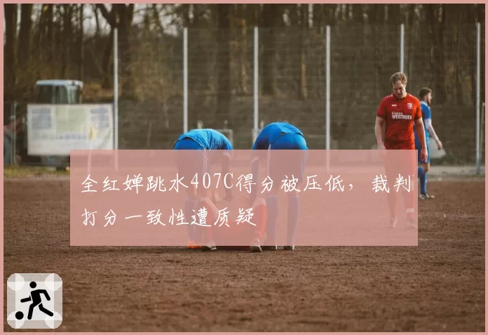 全红婵跳水407C得分被压低,裁判打分一致性遭质疑