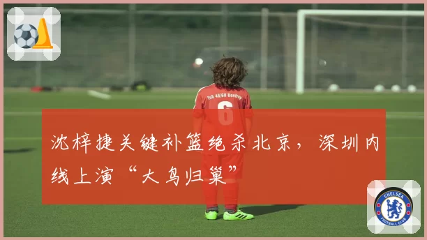 沈梓捷关键补篮绝杀北京，深圳内线上演“大鸟归巢”