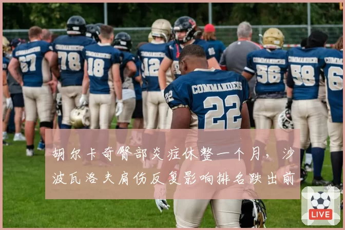 胡尔卡奇臀部炎症休整一个月,沙波瓦洛夫肩伤反复影响排名跌出前五十